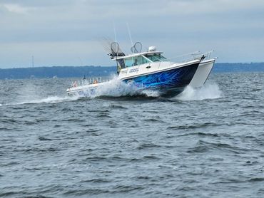 34' baha cruisers king cat catamaran