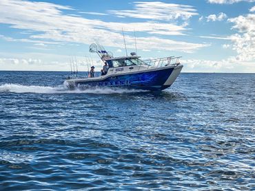catamaran fishing boat