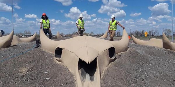 Sculpted concrete GFRC Large scale Bison skulls Poplar Montana monumental 
Magicraftsman Knife River