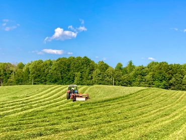 Blue Ford/New Holland Tractor with a Kuhn discbine cutting a clover/grass hay field.