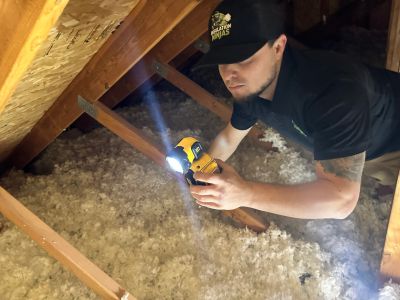 Man inspecting attic insulation with a flashlight.