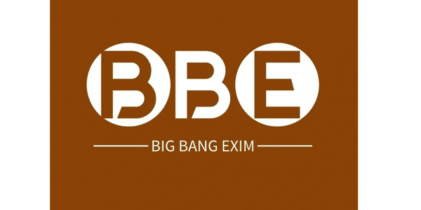 Big Bang Exim logo