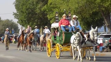 Event in your future we will provide Equine and wagon