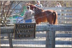 Templeton Veterinary Clinic.