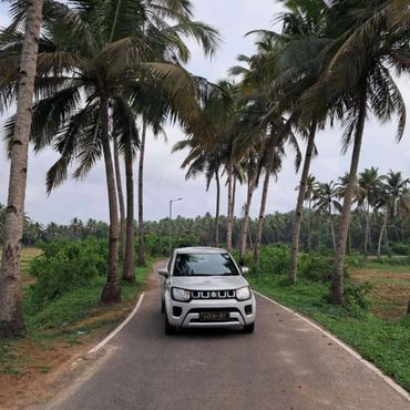 Famous Dear zindagi movie tree road