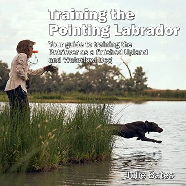 A woman training the dog poster