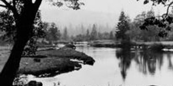 Black and white image of a calm river with trees reflected in the water.
