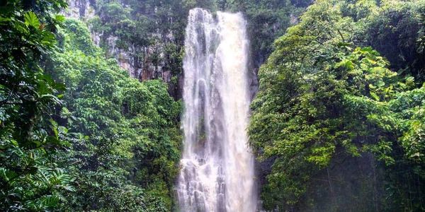 The Road to Hana Waterfall Maui Hawaii
Wailua Falls Maui Hawaii 
Road to Hana 
Private Road to Hana