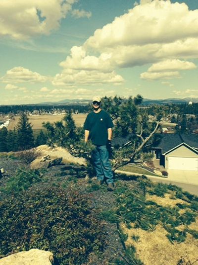 Tree Pruning Services in Spokane