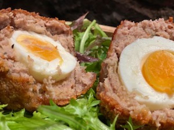 scotch eggs