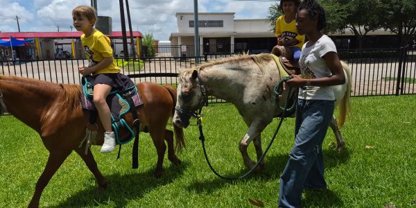 Children riding ponies with adult supervision on a grassy field.