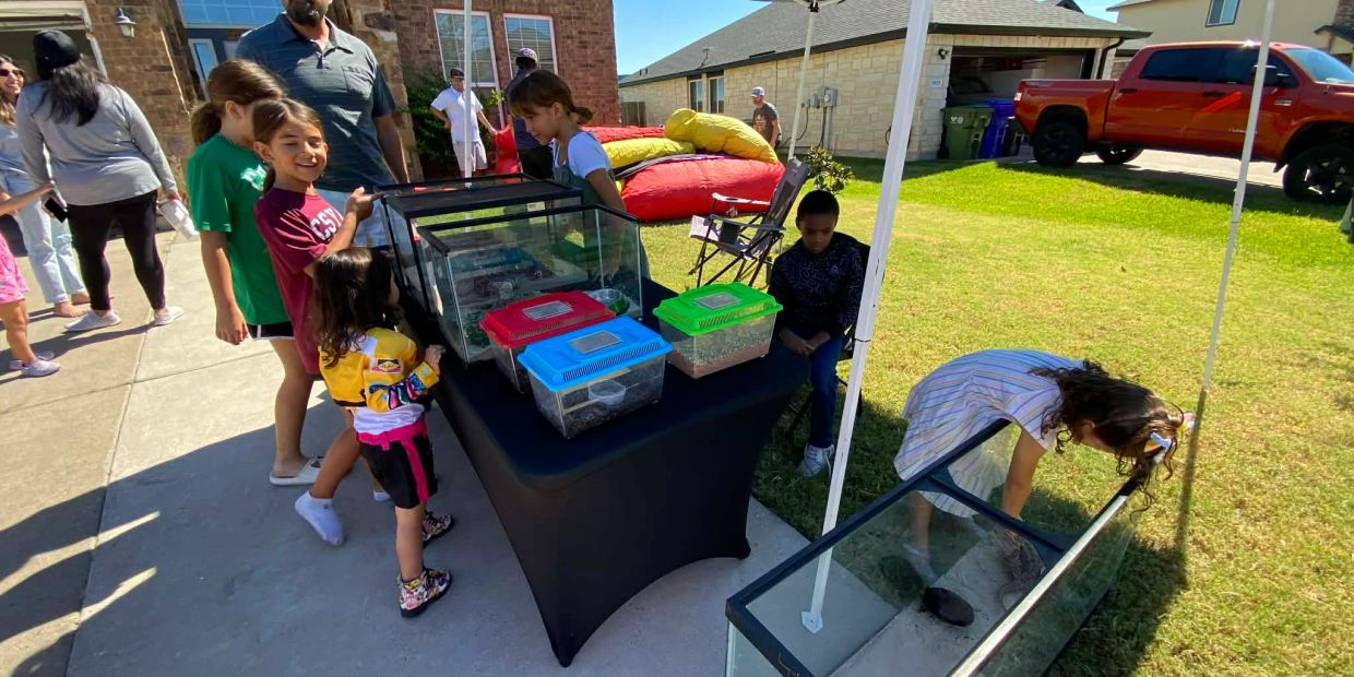 Children observing small animals in containers outdoors.