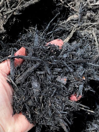 Black Dyed Mulch