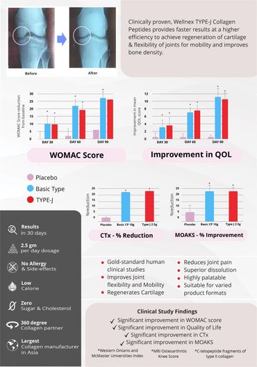 Cheap Brochure Designing: Cost-effective peptide brochure, featuring striking design elements.