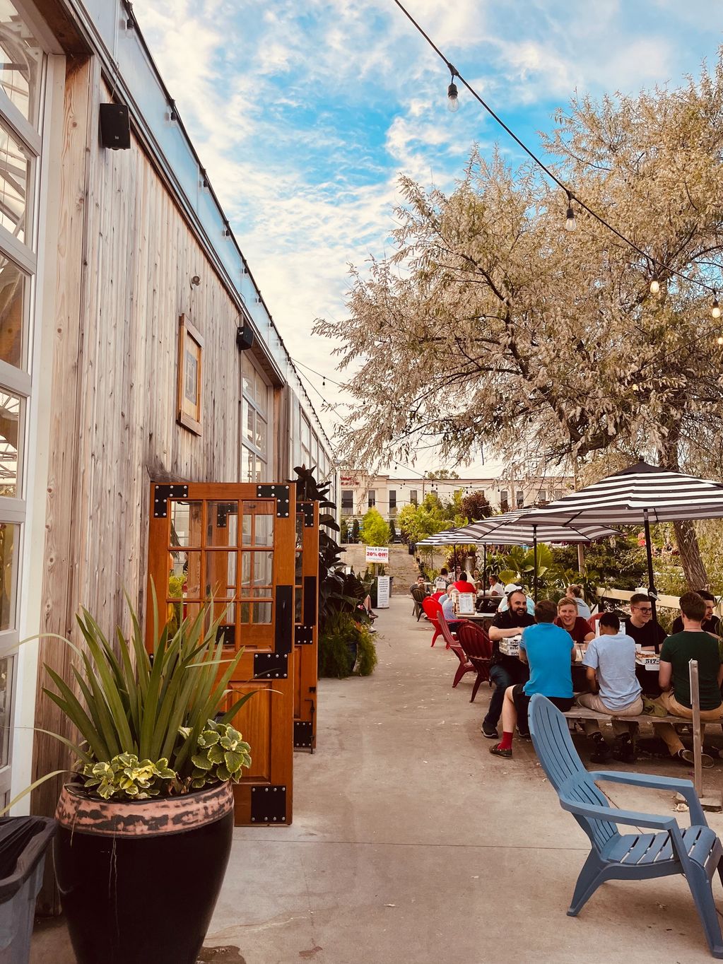 people eating at picnic tables with string lights above, barn doors open
