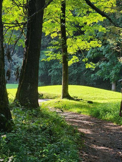 our worldwide community includes nature and all our relatives. This is our spiritual journey.