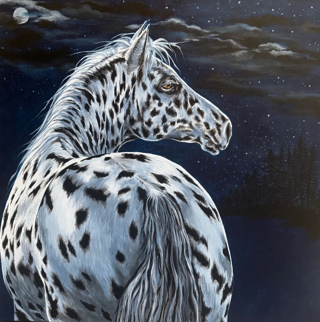 Spotted horse under a starry night sky.
