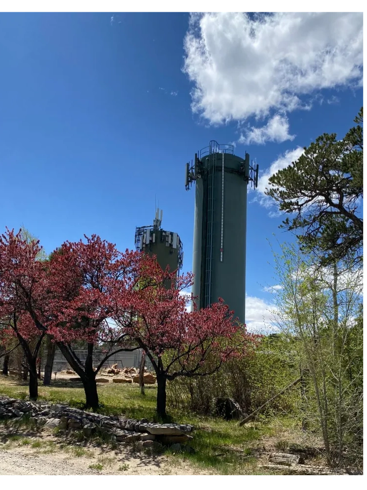 Office Location
