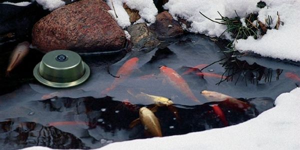 de icer fish winter pond care heater bubbler aerator aeration