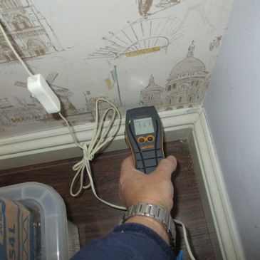 Building defect inspection with damp meter
