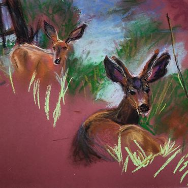 Discovered on a hiking trail. Two deer' doe and buck allowed me to take their photo.