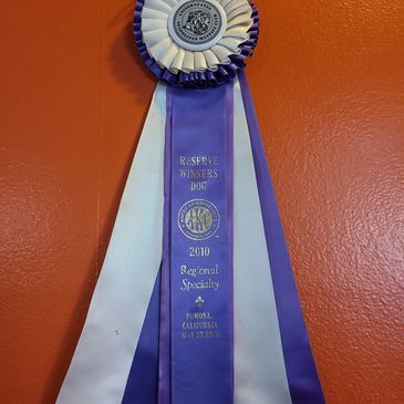 Dog Show Award