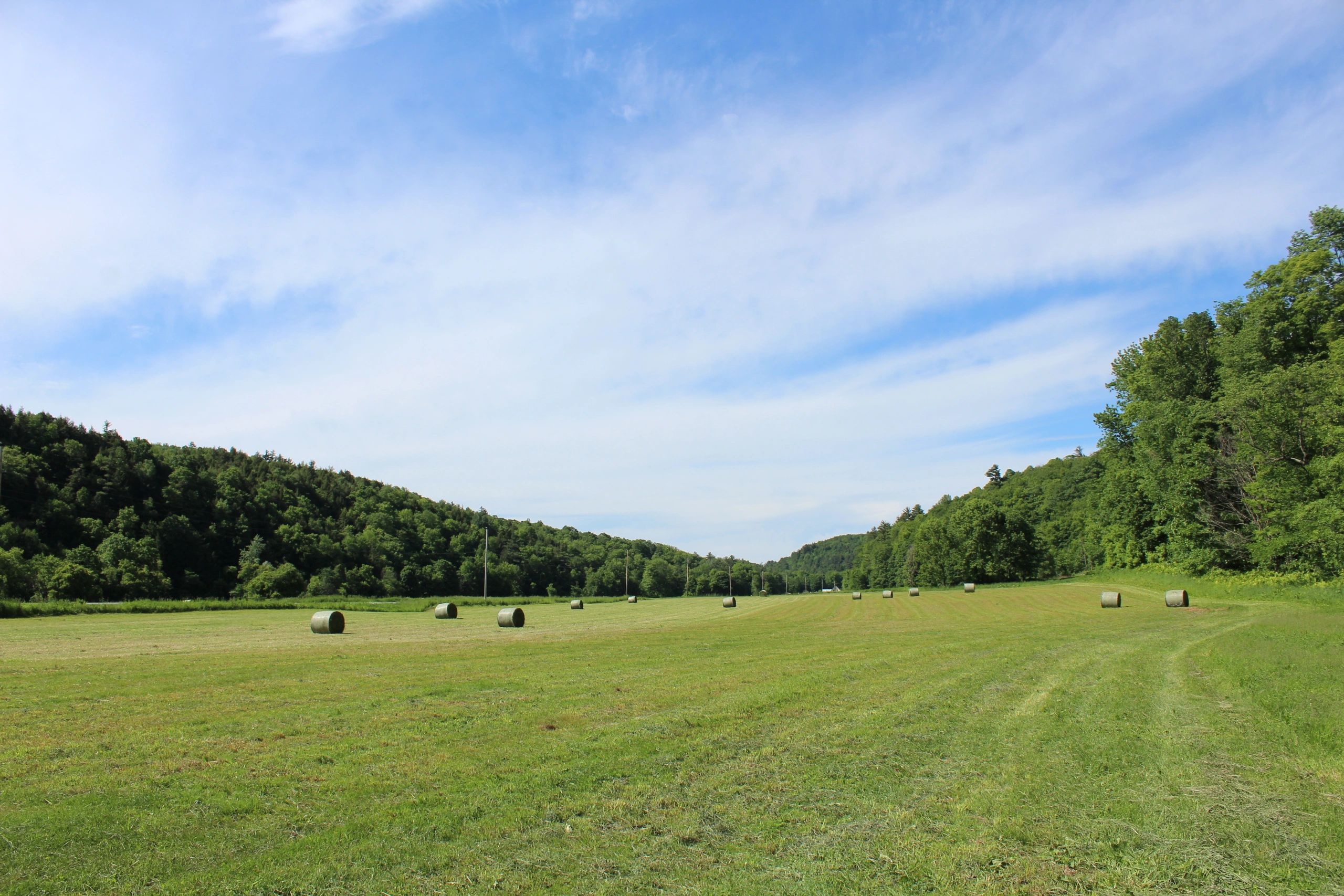 The Gateway Farm Vermont Maple Syrup, Maple Syrup, Vermont The