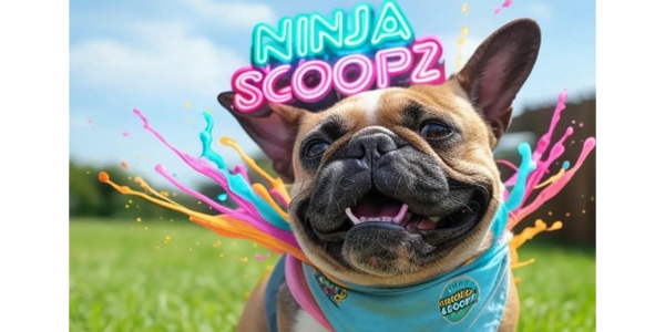 Affordable pooper scooper Airdrie
Best pet waste removal in Airdrie