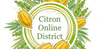 Arizona Jewish Academy participates with Citron Online Speech, Debate and Model Congress