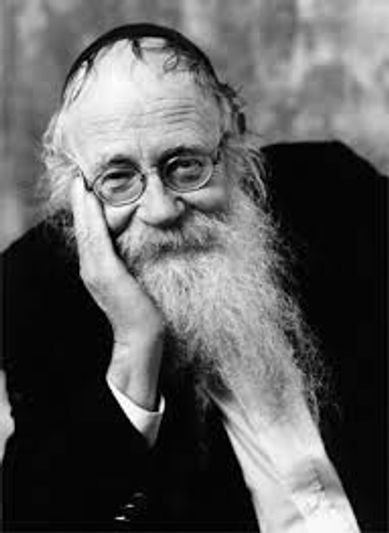 Rabbi Adin Steinsaltz, Nishmat Adin