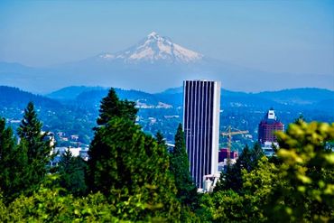 Cityscape with tall buildings and a snow-capped mountain in the background.