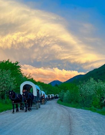 Line of horse-drawn covered wagons on a dirt road at sunset.