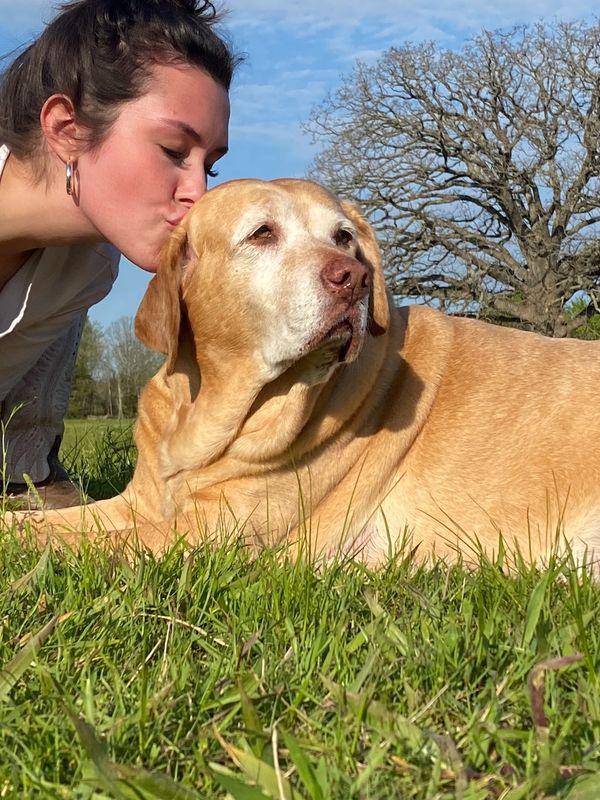 A woman kisses her large dog on the head in a grassy field.