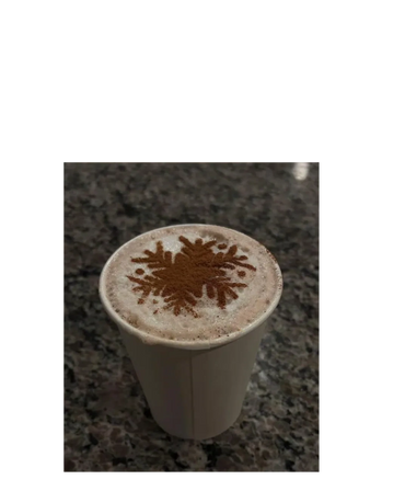 A cup of frothy coffee with a cinnamon snowflake design on top.