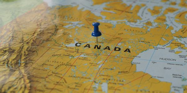 White Aster Immigration Services