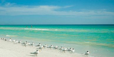 beach umbrellas, umbrellas, shade, beach, Siesta key, Sarasota, Florida