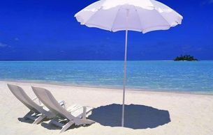 beach umbrellas, umbrellas, shade, beach, siesta key, sarasota, florida