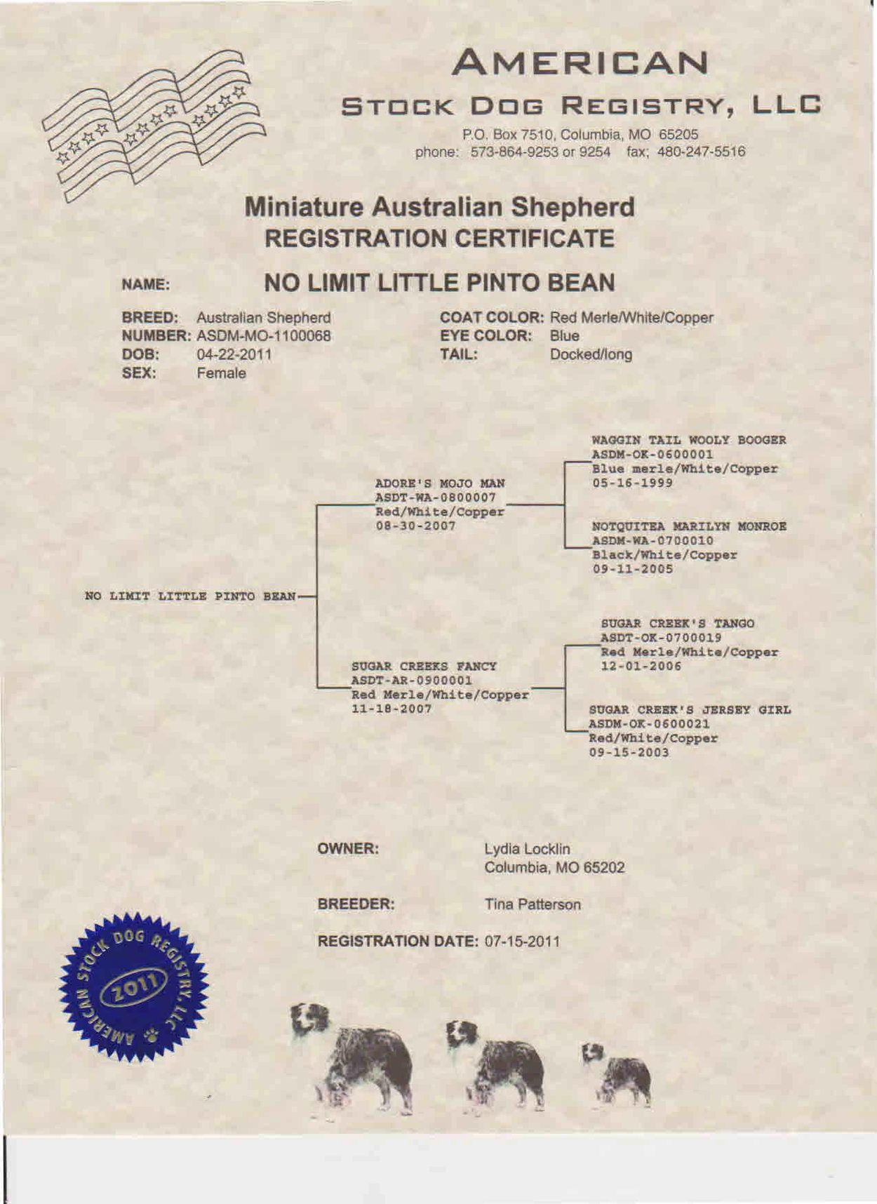 Patsy's ASDR registration