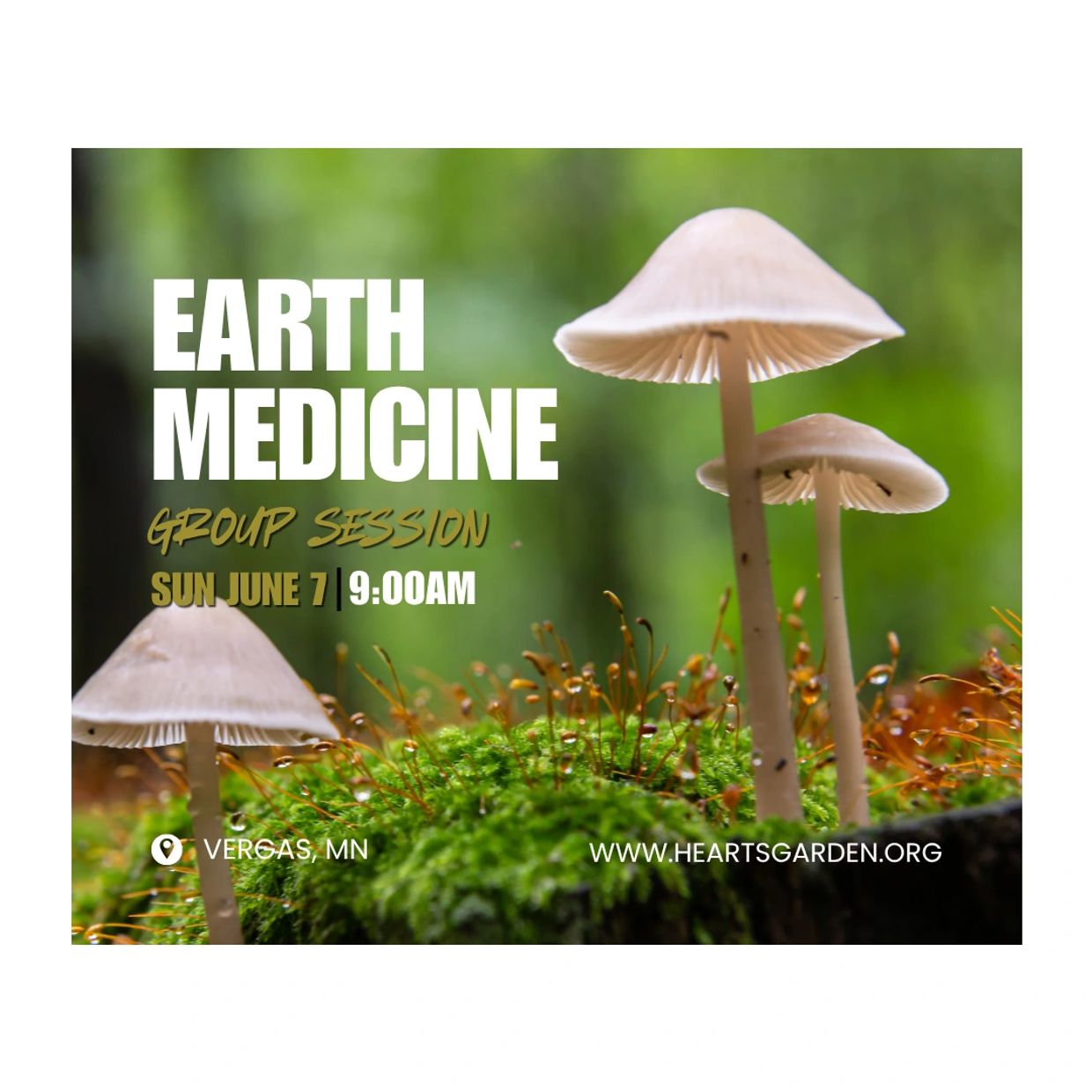 Mushrooms growing on mossy ground with text about Earth Medicine group session.