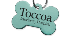 Toccoa Veterinary Hospital