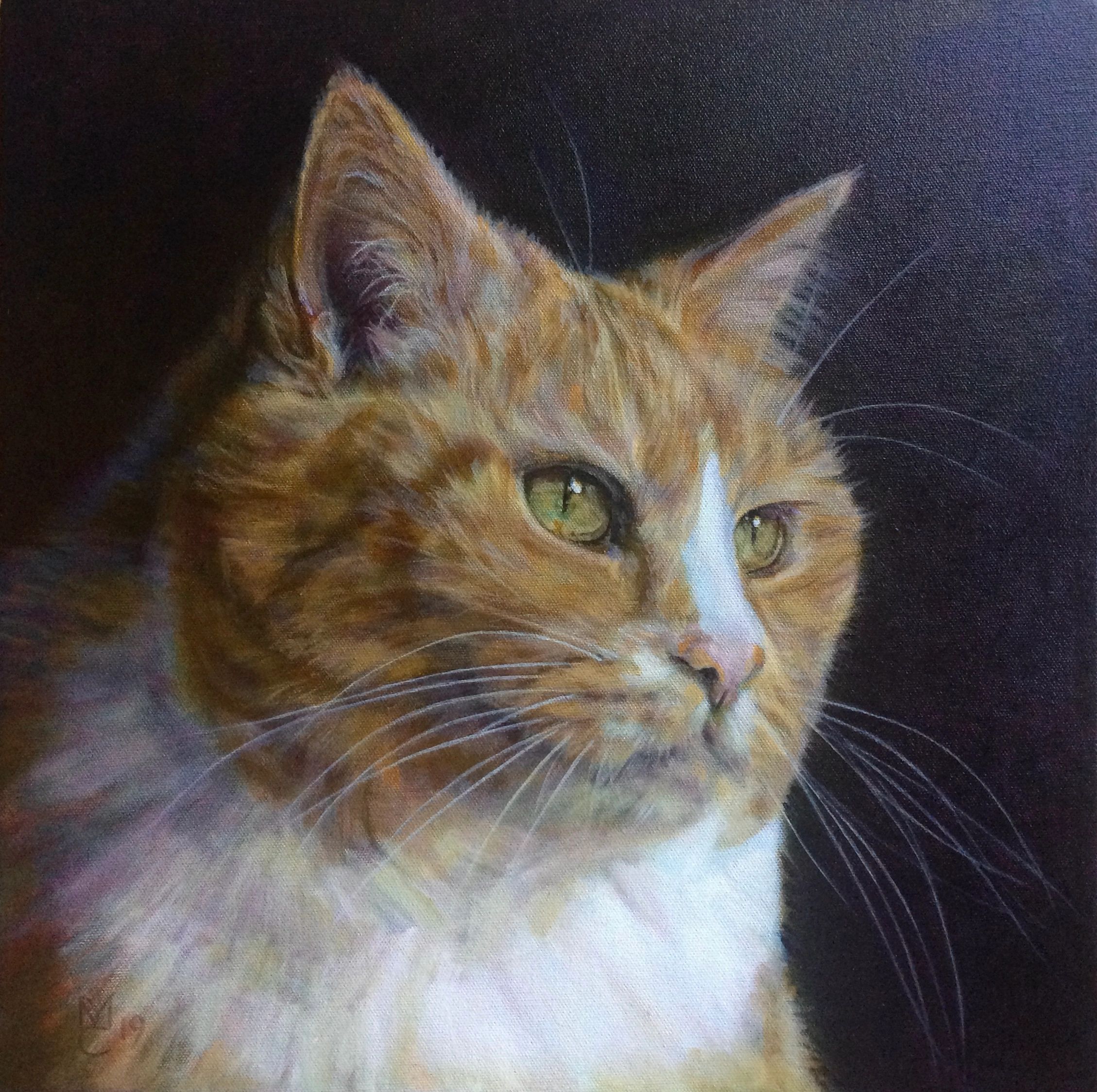 “Belle”
15”x15” oil on canvas