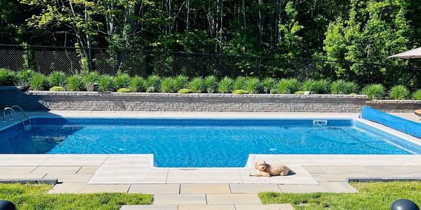 Inground pool with dog laying on concrete walkway