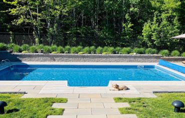 Inground swimming pool with dog laying on concrete walkway