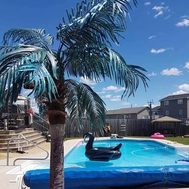 Backyard inground swimming pool with walk down deck, with black swan pool float toy