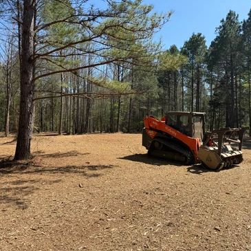 Orange bulldozer parked on a cleared dirt area near trees.