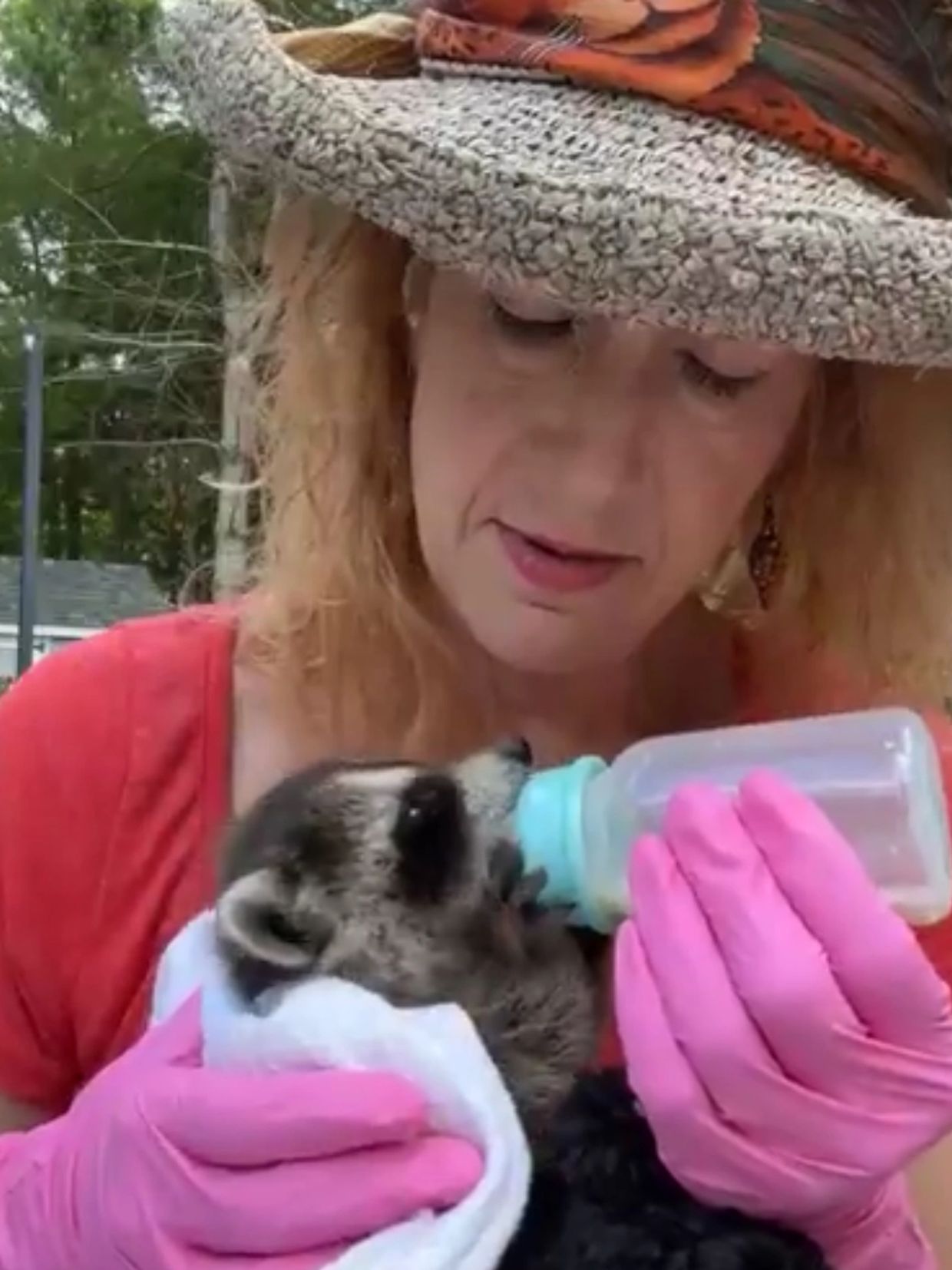 Bottle feeding Clyde. Did you know baby raccoons need to be burped like a human baby?