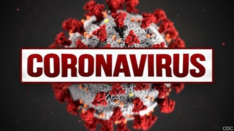 Corona-19  Virus
