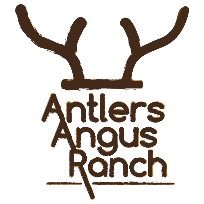 Antlers Angus Ranch Logo and cattle one iron cattle brand of antlers