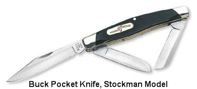 Buck Pocket Knife, Stockman Model