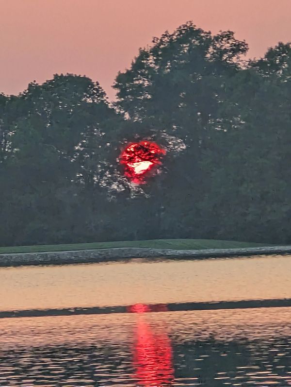 Blood moon over Lake & Forest